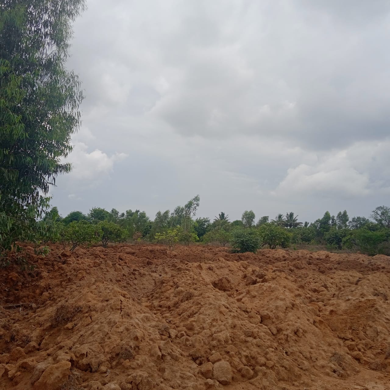 https://1ngo.sgp1.digitaloceanspaces.com/media/arohana/WhatsApp Image 2024-08-24 at 5.05.25 PM (1).jpeg